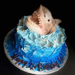 Shark Cake